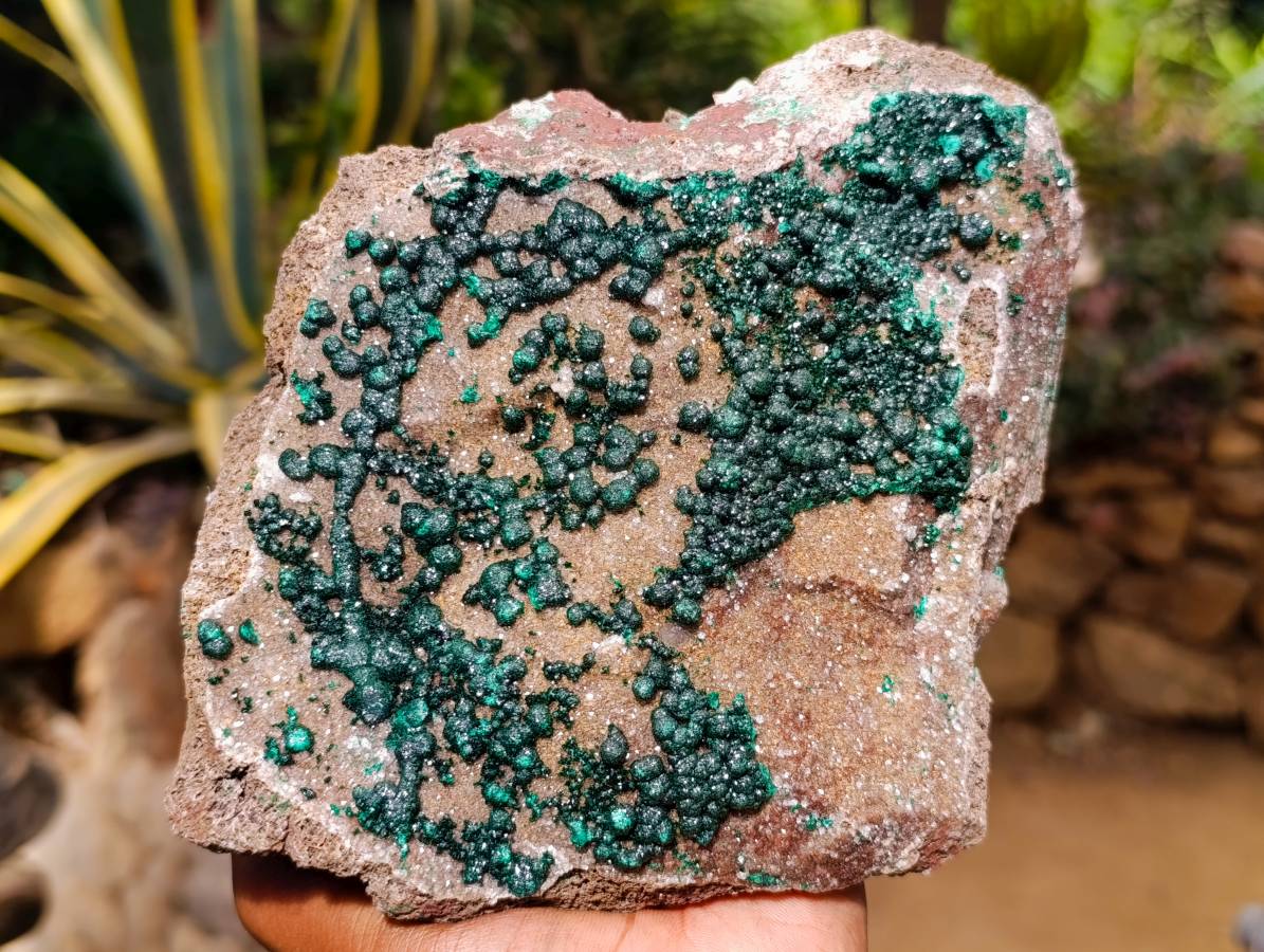 Natural Crystalline Ball Malachite and Drusy Quartz On Dolomite Matrix Specimens x 1 From Kambove, Congo - Toprock Gemstones and Minerals 