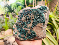 Natural Crystalline Ball Malachite and Drusy Quartz On Dolomite Matrix Specimens x 1 From Kambove, Congo