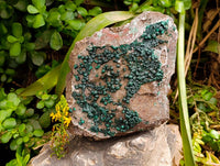 Natural Crystalline Ball Malachite and Drusy Quartz On Dolomite Matrix Specimens x 1 From Kambove, Congo