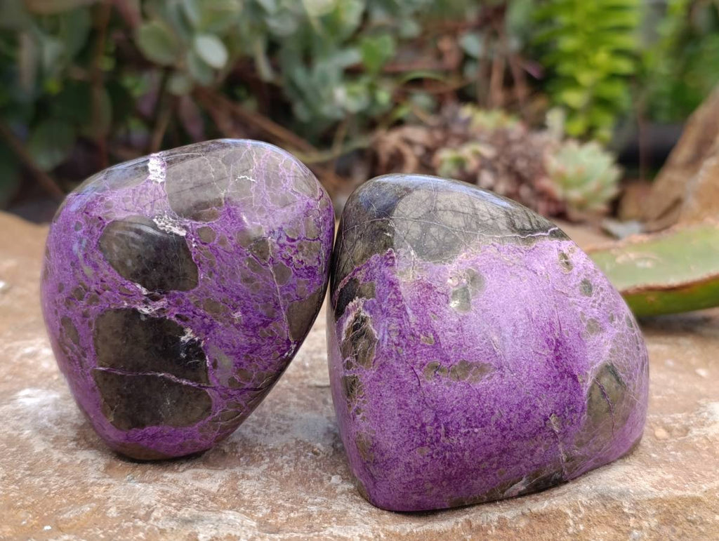 Polished Stichtite Free Forms x 6 From Barberton, South Africa - Toprock Gemstones and Minerals 