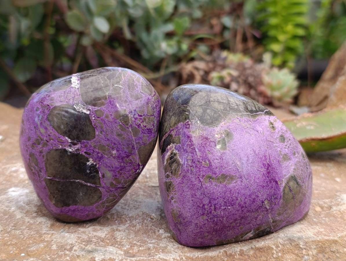 Polished Stichtite Free Forms x 6 From Barberton, South Africa - Toprock Gemstones and Minerals 
