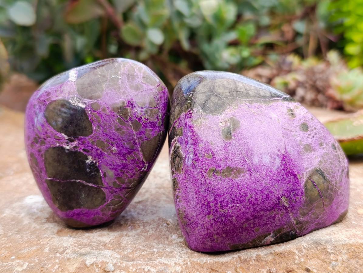 Polished Stichtite Free Forms x 6 From Barberton, South Africa - Toprock Gemstones and Minerals 