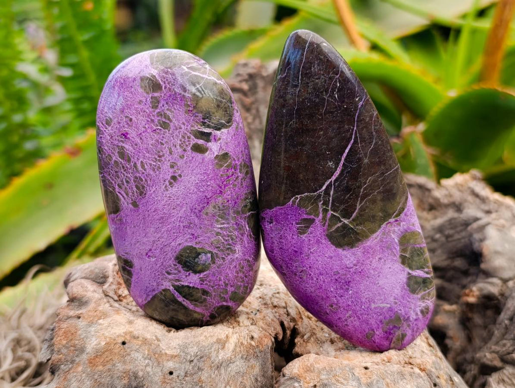 Polished Stichtite Free Forms x 6 From Barberton, South Africa - Toprock Gemstones and Minerals 