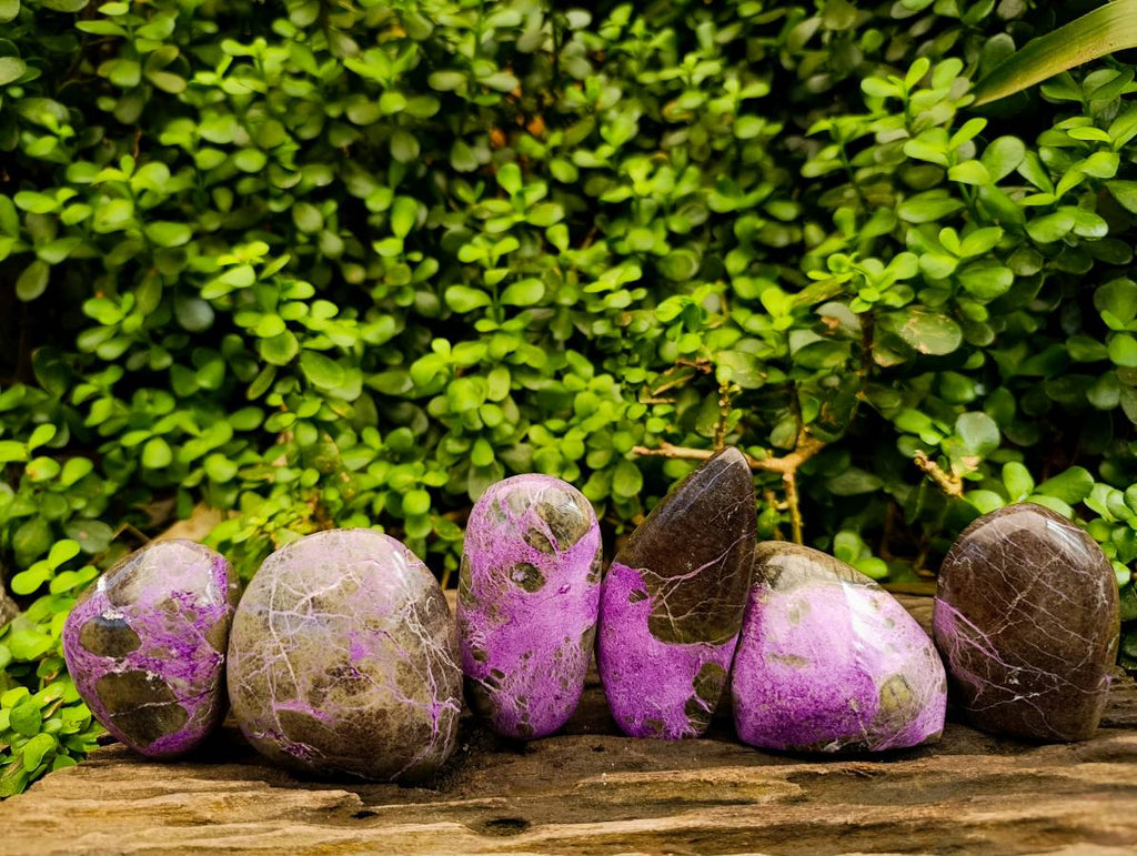Polished Stichtite Free Forms x 6 From Barberton, South Africa - Toprock Gemstones and Minerals 