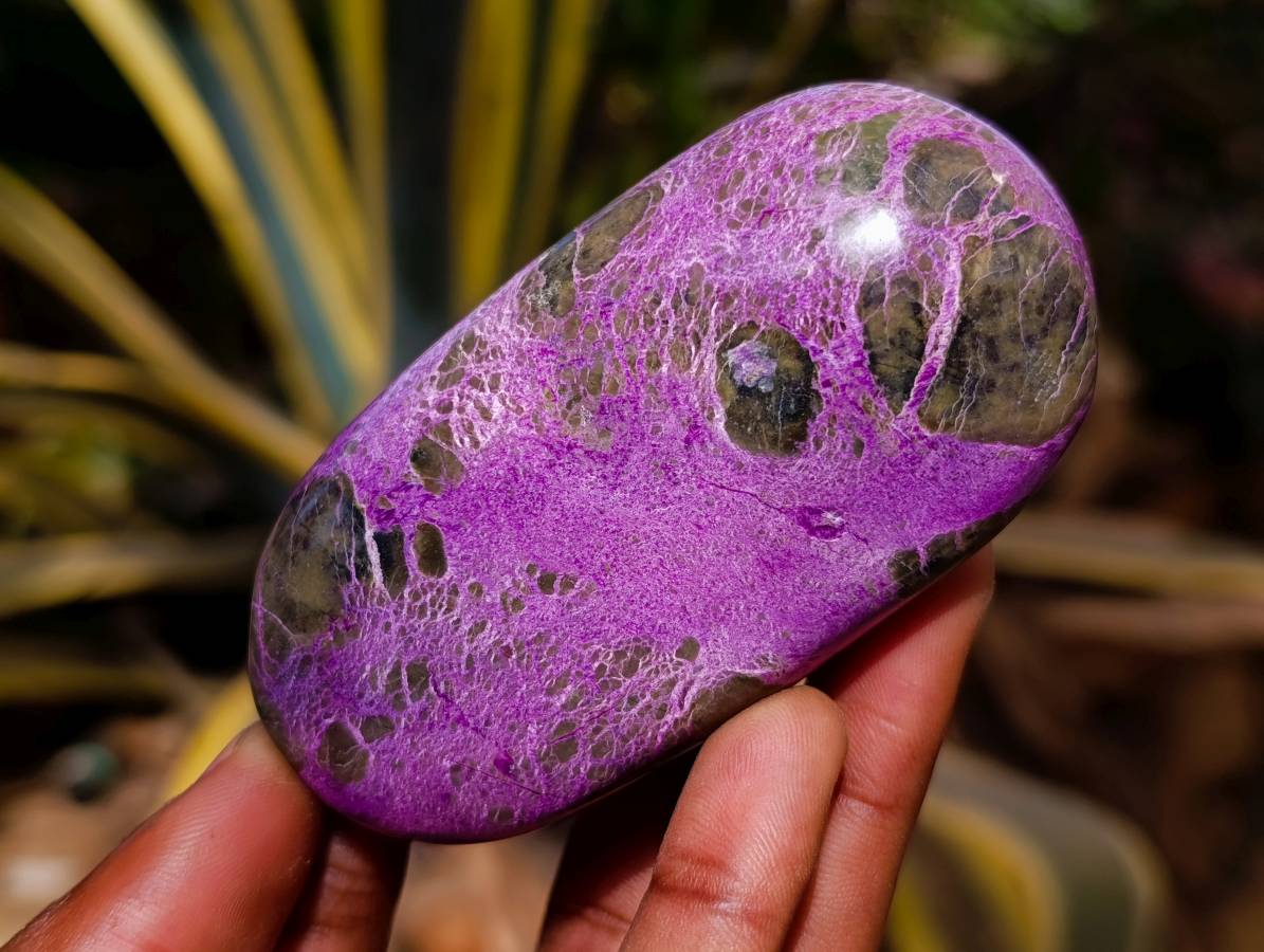 Polished Stichtite Free Forms x 6 From Barberton, South Africa - Toprock Gemstones and Minerals 