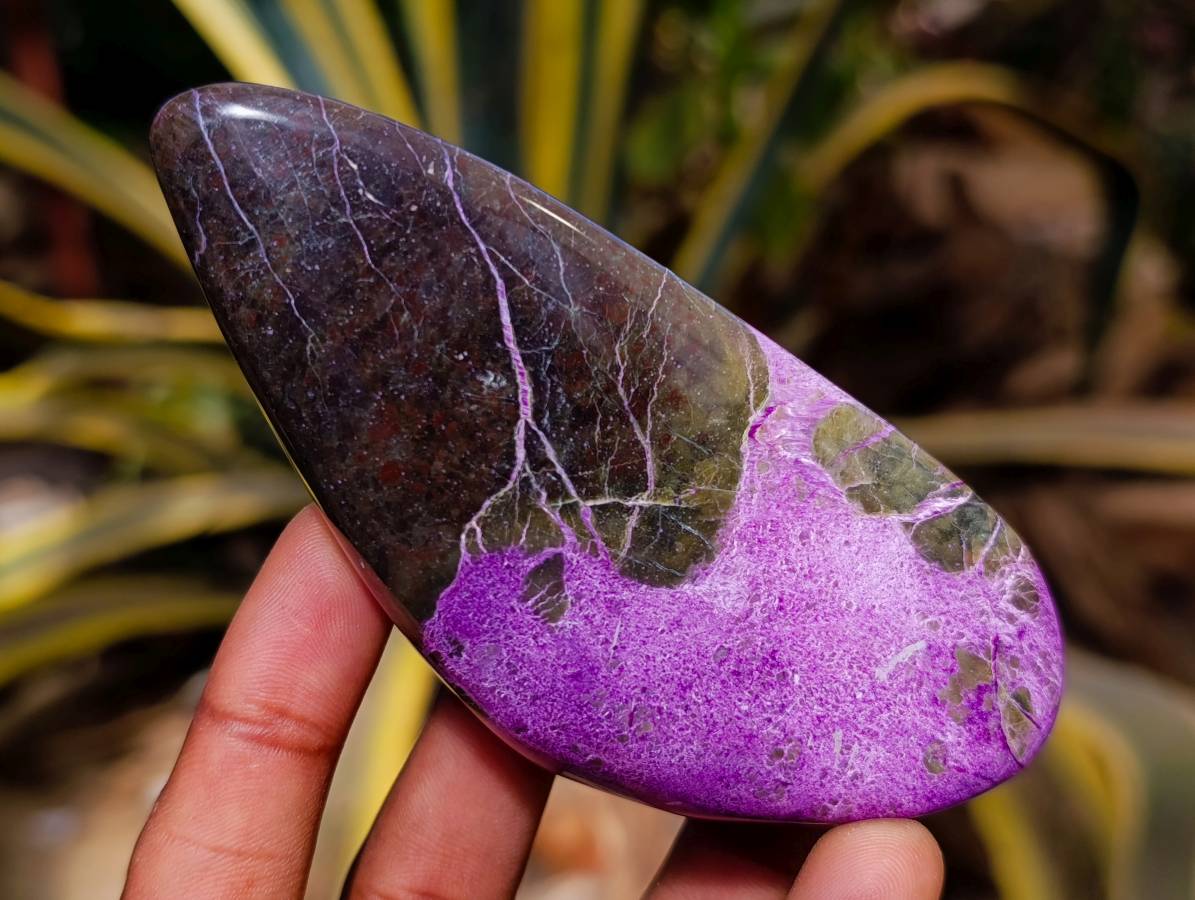 Polished Stichtite Free Forms x 6 From Barberton, South Africa - Toprock Gemstones and Minerals 