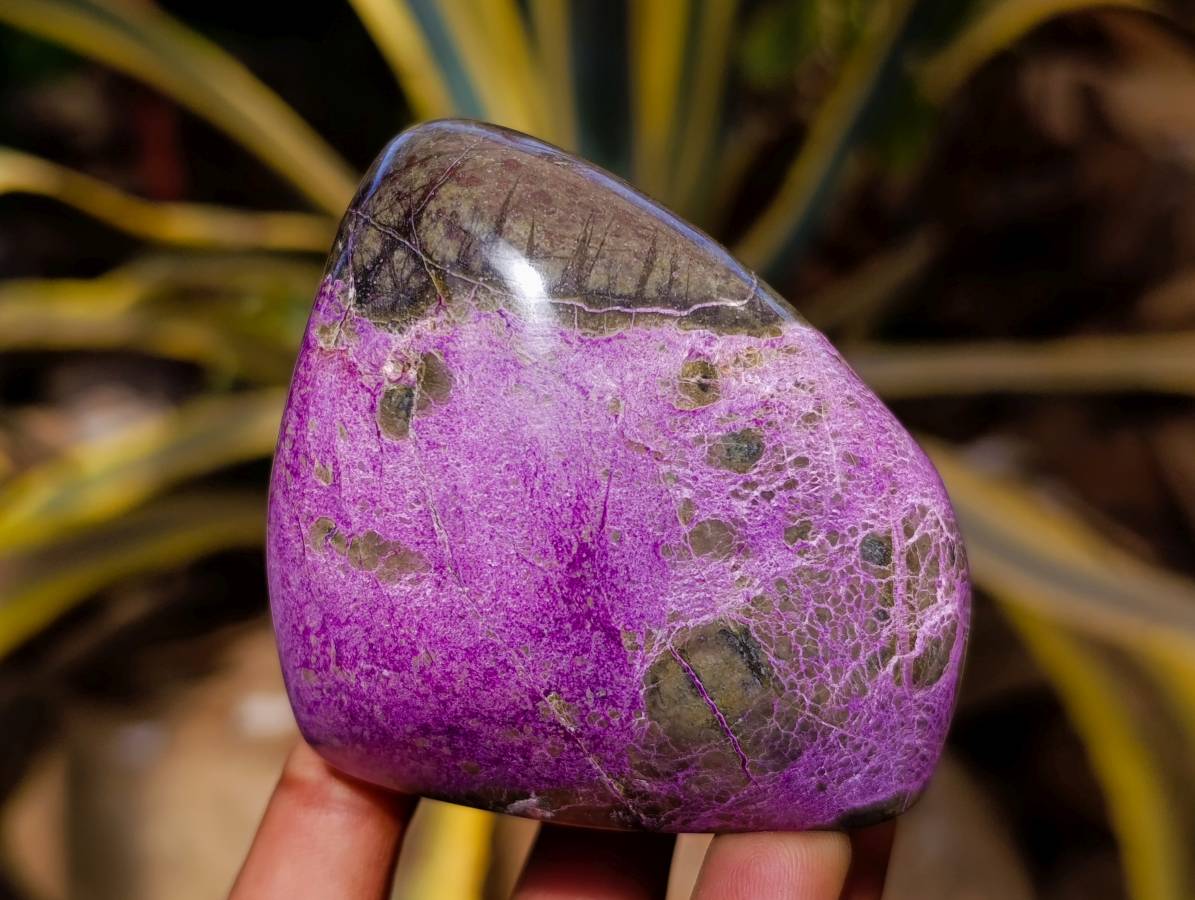 Polished Stichtite Free Forms x 6 From Barberton, South Africa - Toprock Gemstones and Minerals 