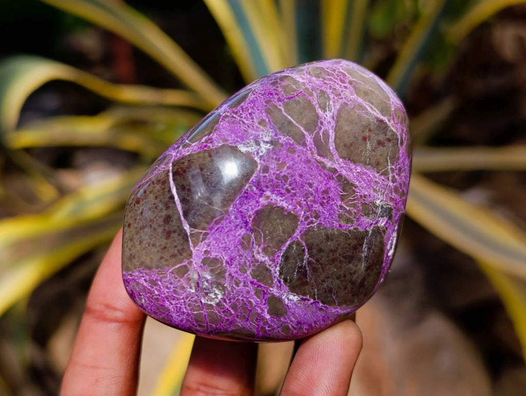 Polished Stichtite Free Forms x 6 From Barberton, South Africa - Toprock Gemstones and Minerals 