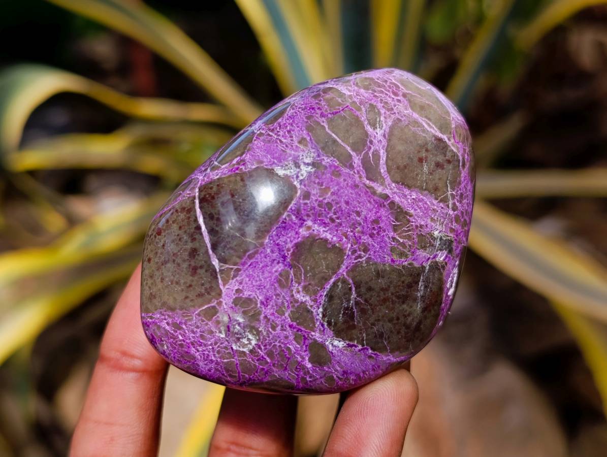 Polished Stichtite Free Forms x 6 From Barberton, South Africa - Toprock Gemstones and Minerals 