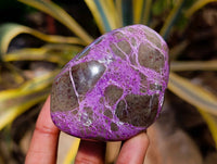 Polished Stichtite Free Forms x 6 From Barberton, South Africa - Toprock Gemstones and Minerals 
