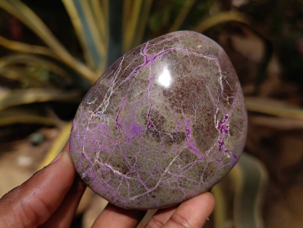 Polished Stichtite Free Forms x 6 From Barberton, South Africa - Toprock Gemstones and Minerals 