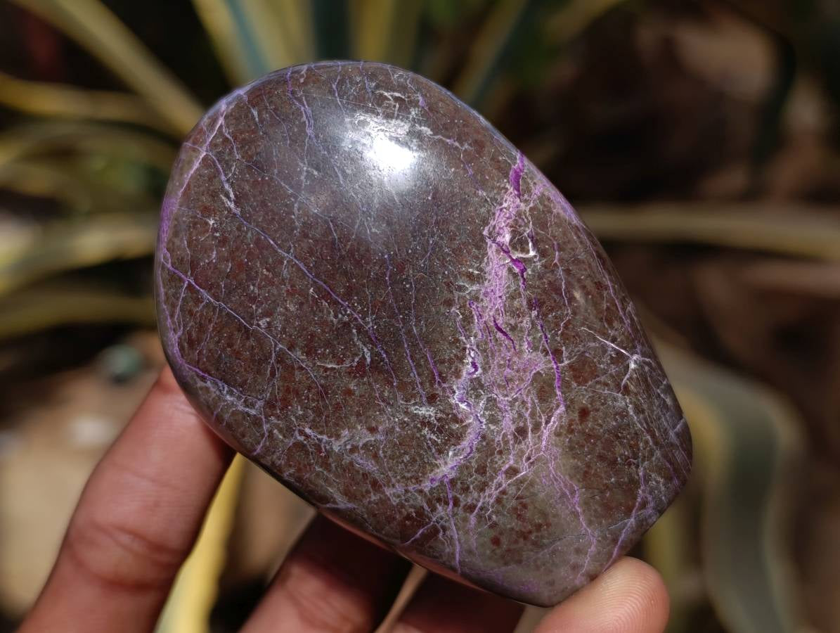 Polished Stichtite Free Forms x 6 From Barberton, South Africa - Toprock Gemstones and Minerals 