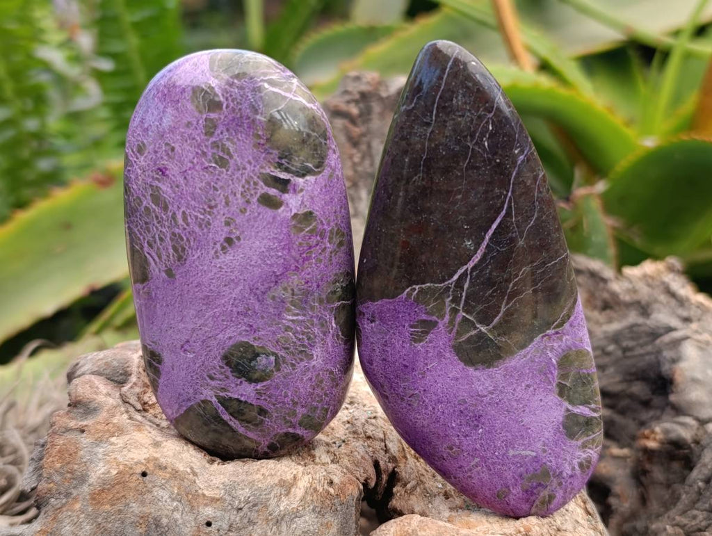 Polished Stichtite Free Forms x 6 From Barberton, South Africa - Toprock Gemstones and Minerals 