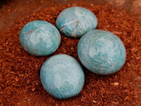 Polished Amazonite Palm Stones x 12 From Madagascar