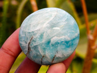 Polished Amazonite Palm Stones x 12 From Madagascar