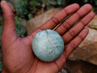 Polished Amazonite Palm Stones x 12 From Madagascar