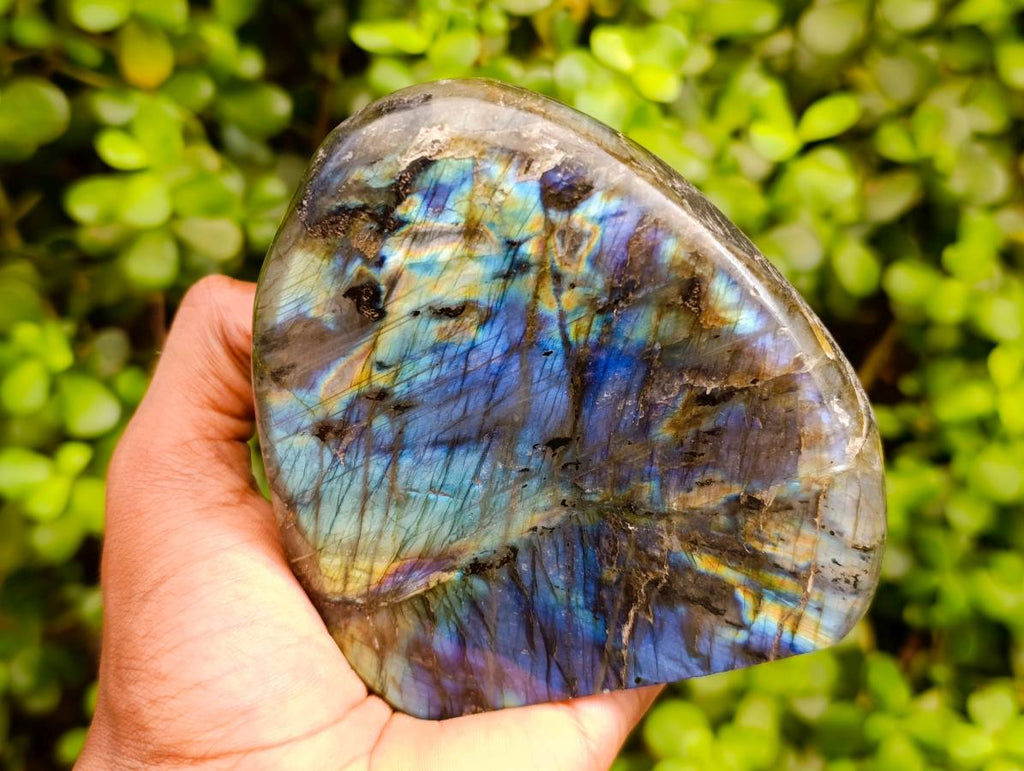 Polished Labradorite Standing Free Forms x 2 From Tulear, Madagascar - Toprock Gemstones and Minerals 