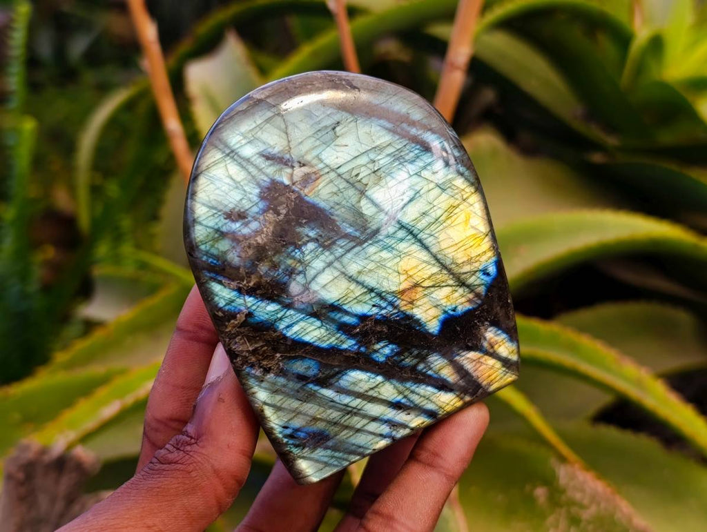 Polished Labradorite Standing Free Forms x 2 From Tulear, Madagascar - Toprock Gemstones and Minerals 