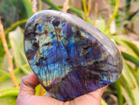 Polished Labradorite Standing Free Forms x 2 From Tulear, Madagascar
