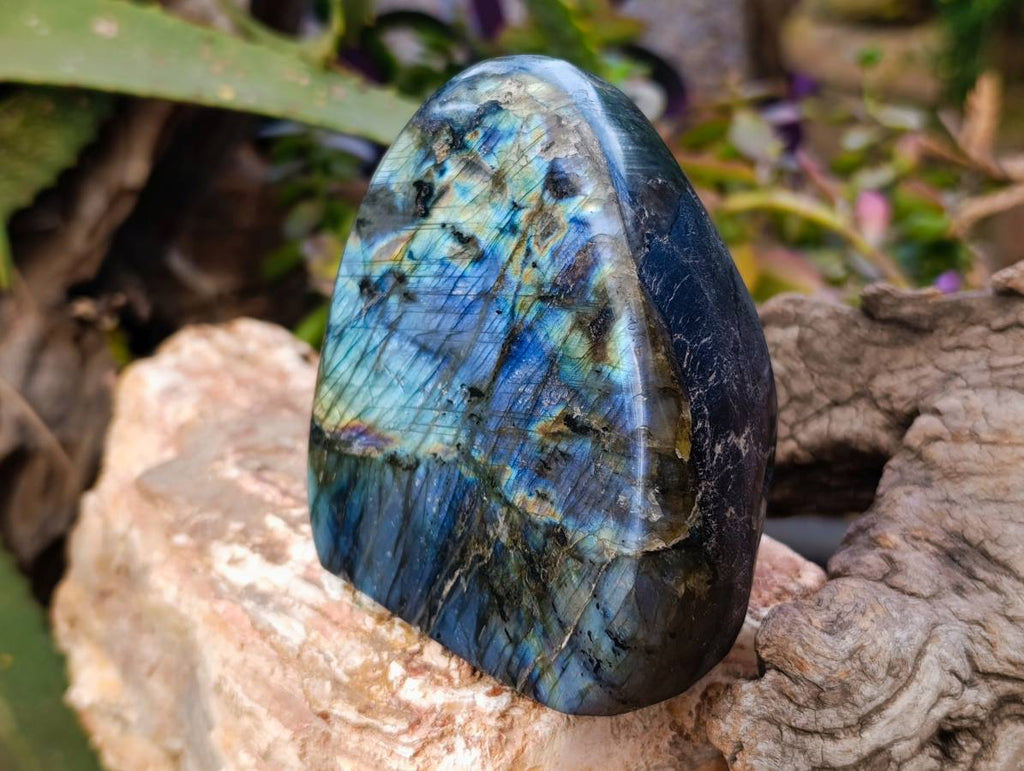 Polished Labradorite Standing Free Forms x 2 From Tulear, Madagascar - Toprock Gemstones and Minerals 