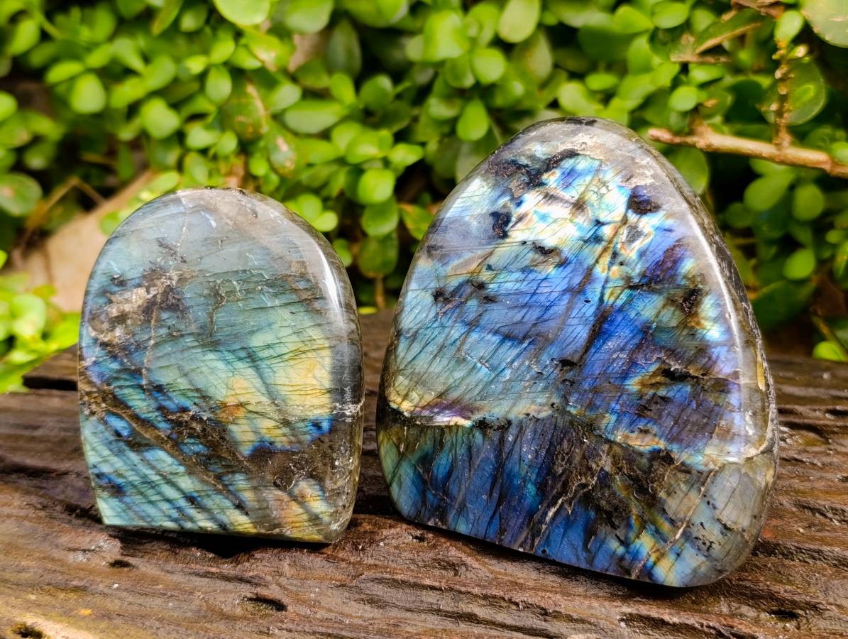 Polished Labradorite Standing Free Forms x 2 From Tulear, Madagascar - Toprock Gemstones and Minerals 