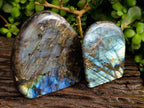 Polished Labradorite Standing Free Forms x 2 From Tulear, Madagascar - Toprock Gemstones and Minerals 