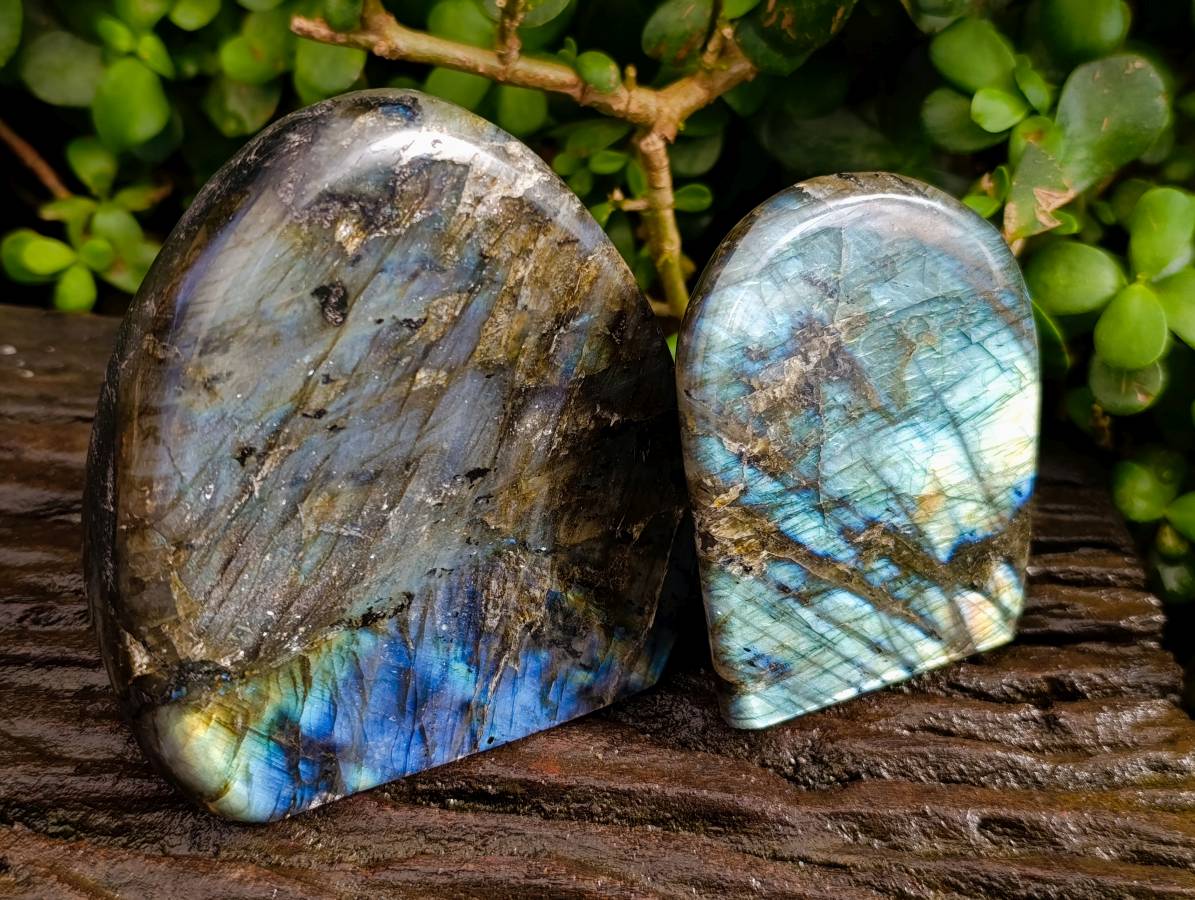 Polished Labradorite Standing Free Forms x 2 From Tulear, Madagascar - Toprock Gemstones and Minerals 