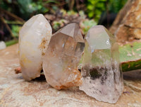 Natural Quartz Crystals x 65 From Zimbabwe - Toprock Gemstones and Minerals 