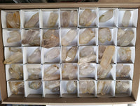 Natural Quartz Crystals x 65 From Zimbabwe - Toprock Gemstones and Minerals 