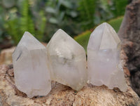 Natural Quartz Crystals x 65 From Zimbabwe - Toprock Gemstones and Minerals 