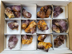 Natural Amethyst Spirit Quartz Clusters x 17 From Boekenhouthoek, South Africa - Toprock Gemstones and Minerals 