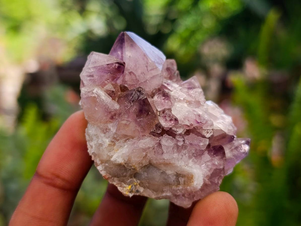 Natural Amethyst Spirit Quartz Clusters x 17 From Boekenhouthoek, South Africa - Toprock Gemstones and Minerals 