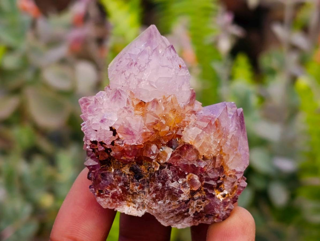 Natural Amethyst Spirit Quartz Clusters x 17 From Boekenhouthoek, South Africa - Toprock Gemstones and Minerals 