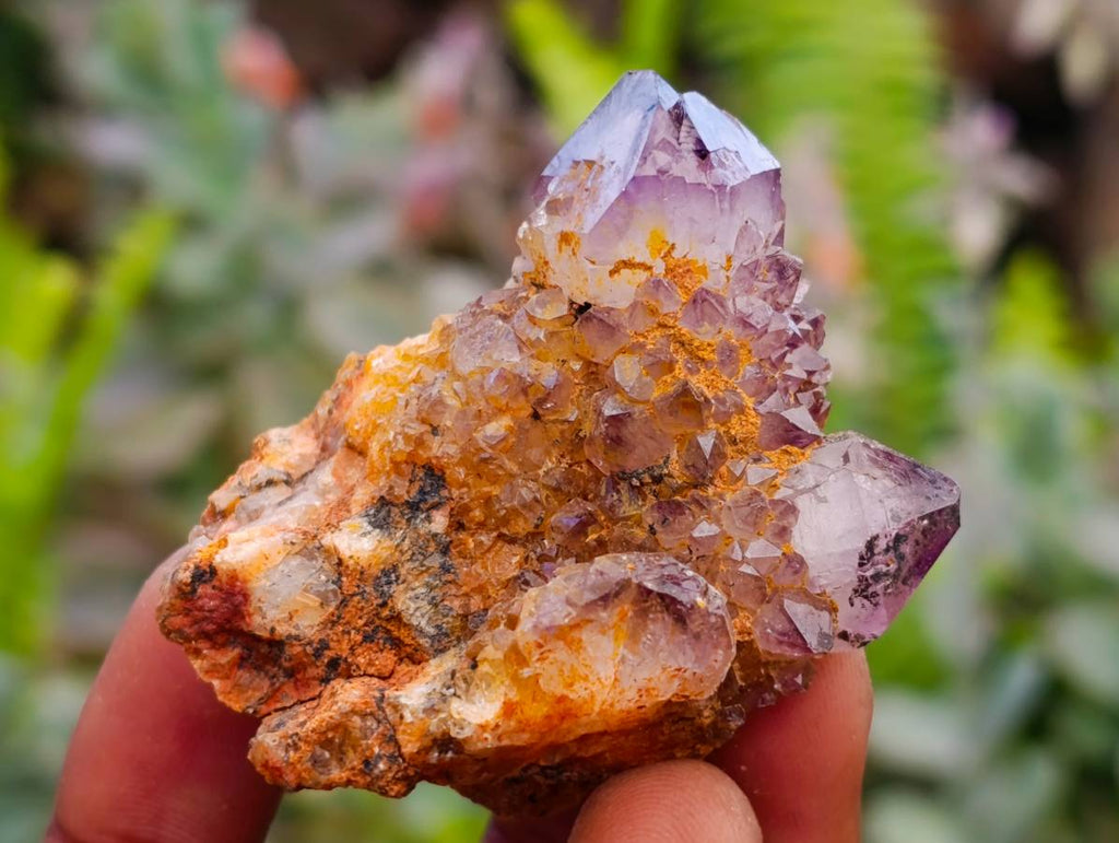 Natural Amethyst Spirit Quartz Clusters x 17 From Boekenhouthoek, South Africa - Toprock Gemstones and Minerals 