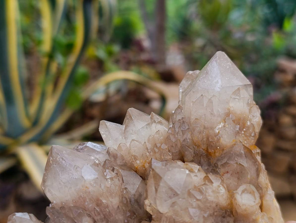 Natural Smokey Phantom Quartz Clusters x 2 From Luena, Congo - Toprock Gemstones and Minerals 