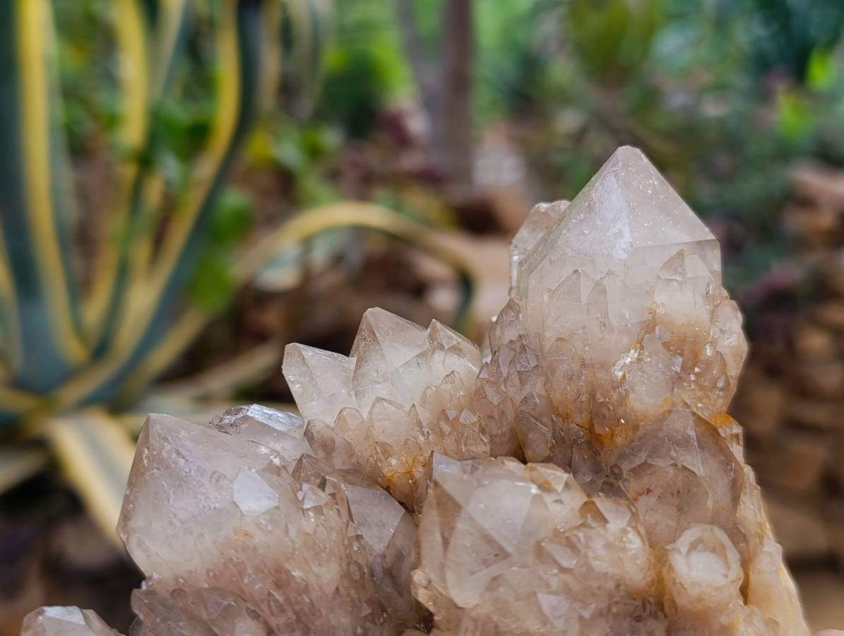 Natural Smokey Phantom Quartz Clusters x 2 From Luena, Congo - Toprock Gemstones and Minerals 