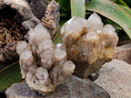 Natural Smokey Phantom Quartz Clusters x 2 From Luena, Congo - Toprock Gemstones and Minerals 