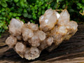 Natural Smokey Phantom Quartz Clusters x 2 From Luena, Congo - Toprock Gemstones and Minerals 