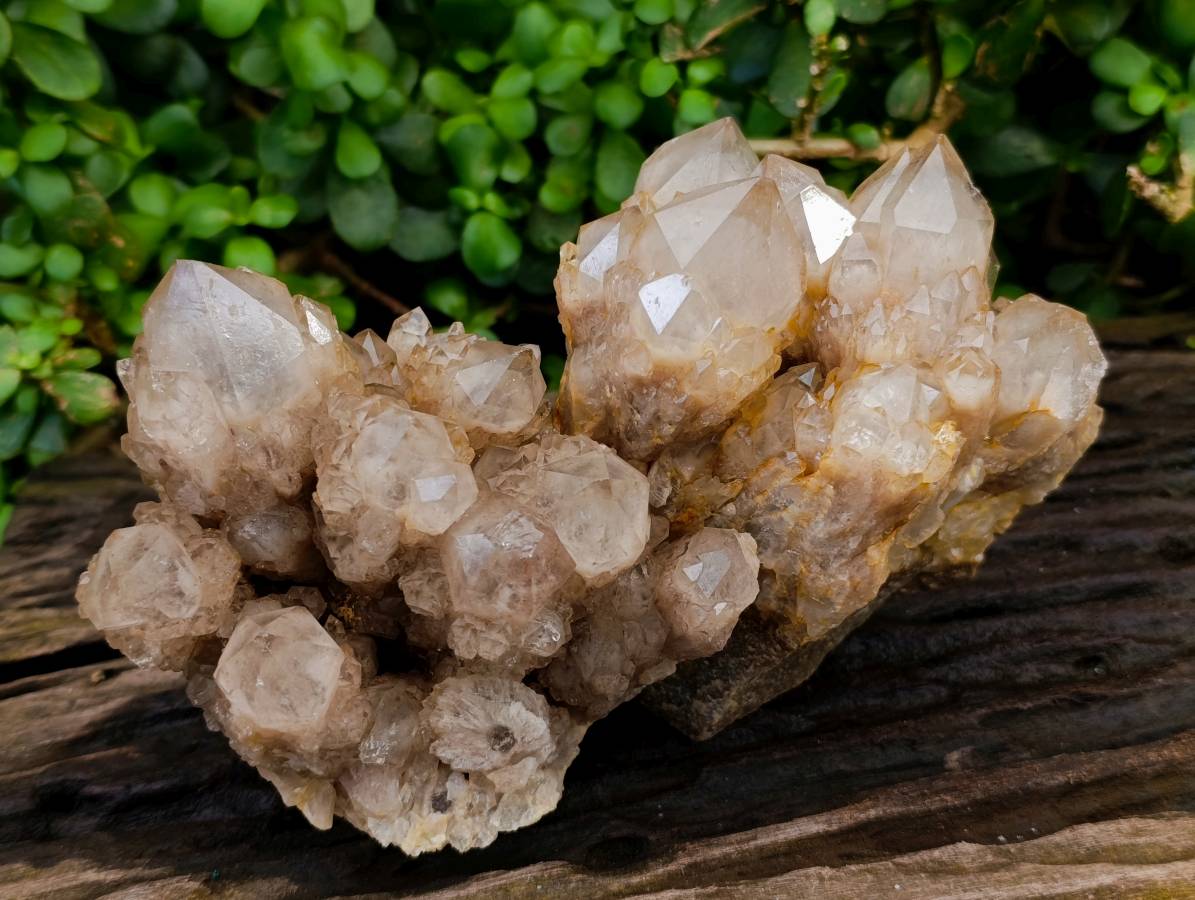 Natural Smokey Phantom Quartz Clusters x 2 From Luena, Congo - Toprock Gemstones and Minerals 