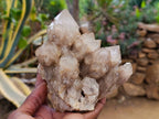 Natural Smokey Phantom Quartz Clusters x 2 From Luena, Congo - Toprock Gemstones and Minerals 