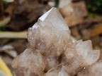 Natural Smokey Phantom Quartz Clusters x 2 From Luena, Congo - Toprock Gemstones and Minerals 