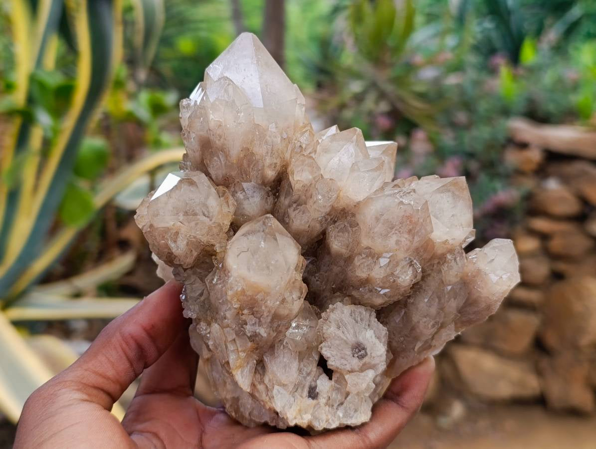 Natural Smokey Phantom Quartz Clusters x 2 From Luena, Congo - Toprock Gemstones and Minerals 