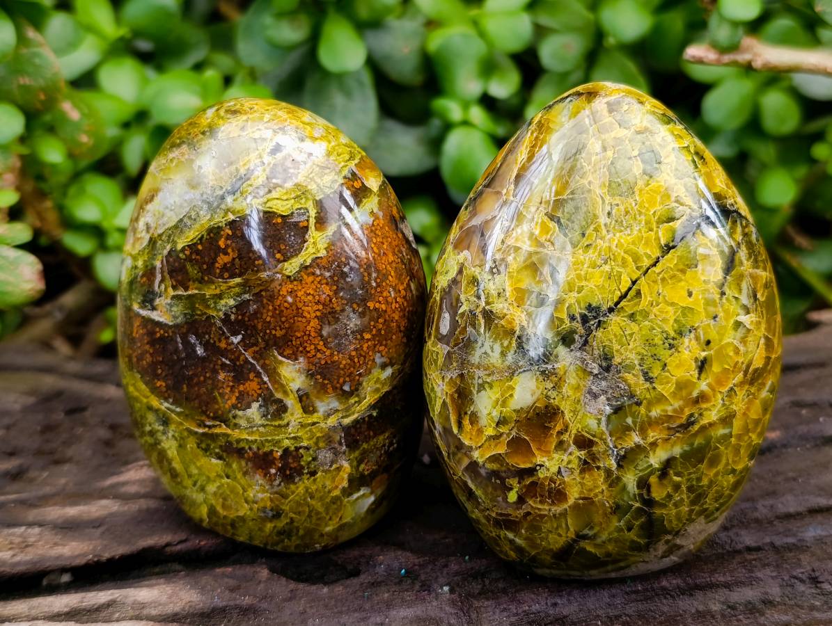 Polished Green Opal Standing Free Forms x 3 From Antsirabe, Madagascar - Toprock Gemstones and Minerals 