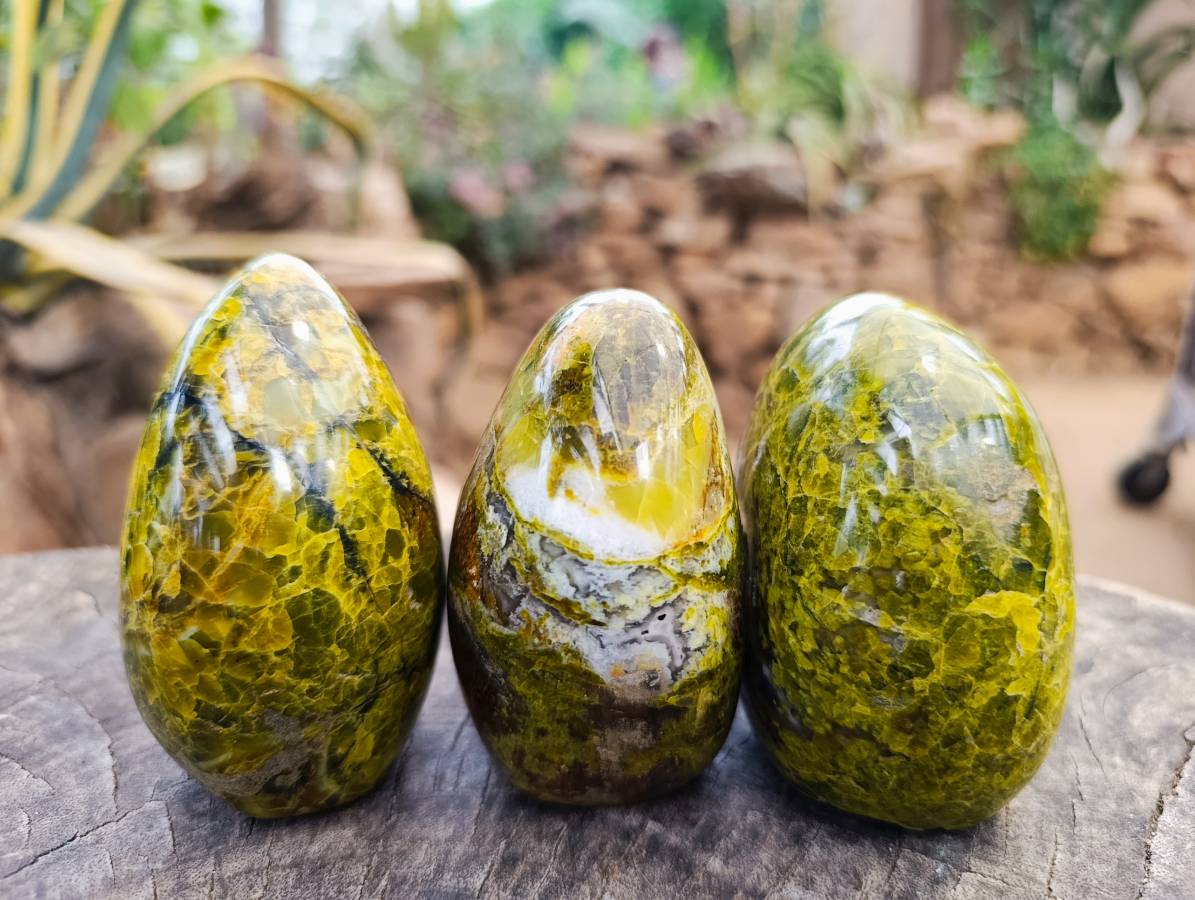 Polished Green Opal Standing Free Forms x 3 From Antsirabe, Madagascar - Toprock Gemstones and Minerals 