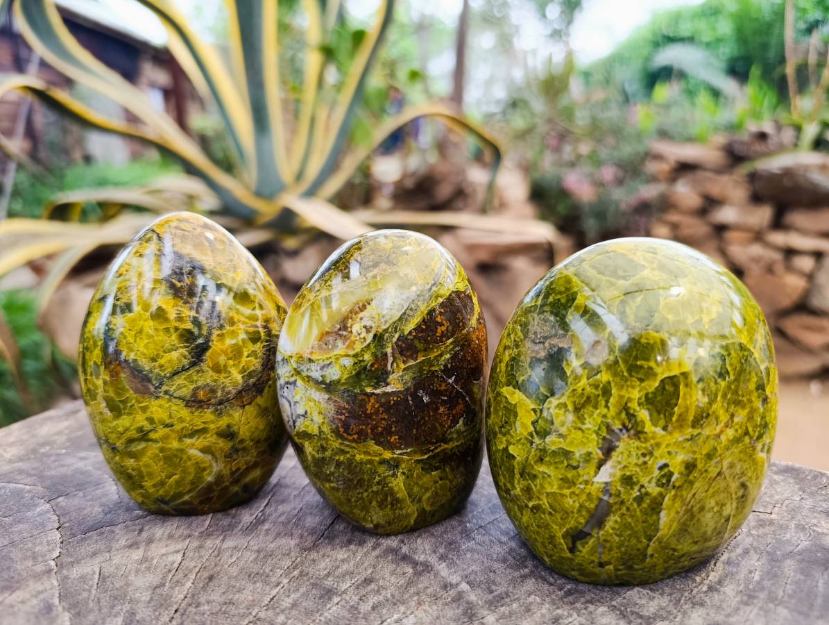 Polished Green Opal Standing Free Forms x 3 From Antsirabe, Madagascar - Toprock Gemstones and Minerals 
