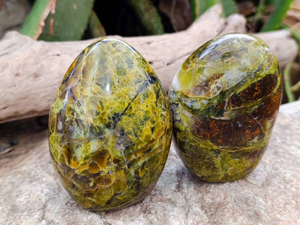Polished Green Opal Standing Free Forms x 3 From Antsirabe, Madagascar - Toprock Gemstones and Minerals 