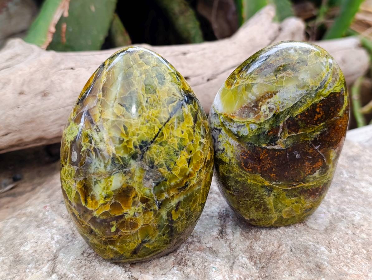 Polished Green Opal Standing Free Forms x 3 From Antsirabe, Madagascar - Toprock Gemstones and Minerals 