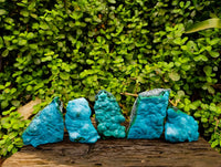 Natural Malachite Malacolla Botryoidal Chrysocolla Specimens x 5 From Kulukuluku, Congo - Toprock Gemstones and Minerals 