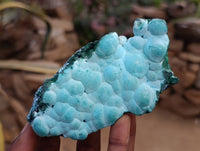 Natural Malachite Malacolla Botryoidal Chrysocolla Specimens x 5 From Kulukuluku, Congo - Toprock Gemstones and Minerals 
