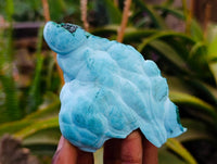 Natural Malachite Malacolla Botryoidal Chrysocolla Specimens x 5 From Kulukuluku, Congo - Toprock Gemstones and Minerals 